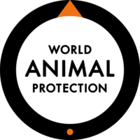 world_animal_protection